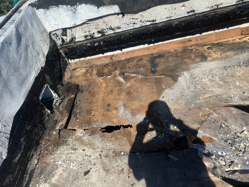 KakaoTalk Photo 2025-07-26-10-33-35-004